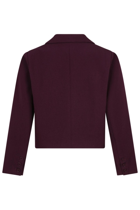 Ydence bordeaux dames blazer | Achteraanzicht