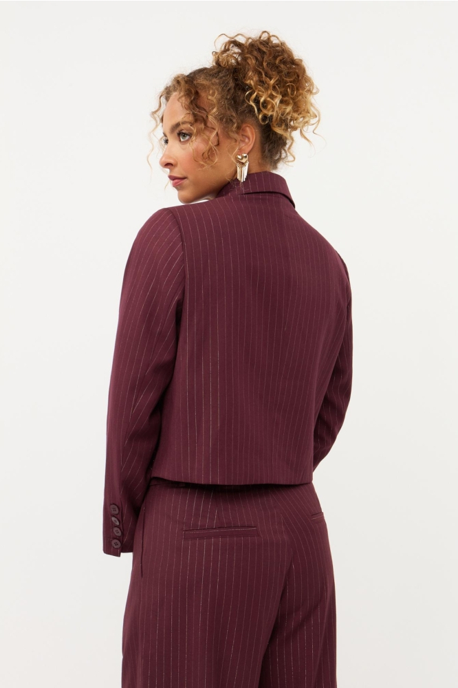 Ydence bordeaux dames blazer | Model achteraanzicht