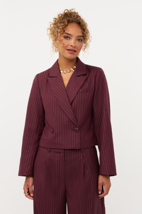 Ydence bordeaux dames blazer | Model vooraanzicht