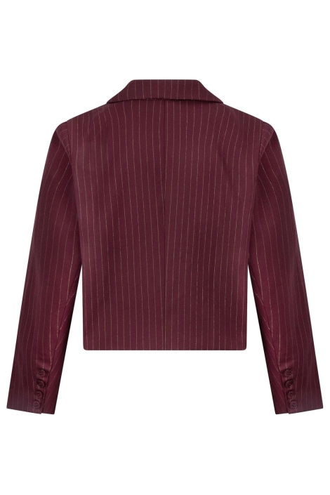 Ydence bordeaux dames blazer | Achteraanzicht