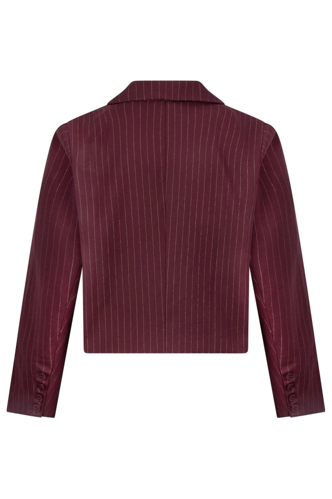 Ydence bordeaux dames blazer | Achteraanzicht