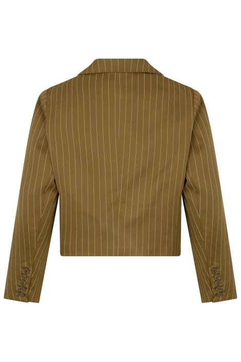 Ydence groene dames blazer | Achteraanzicht