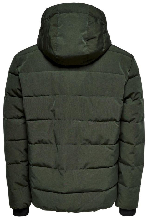 Only & Sons groene heren jas | Achteraanzicht