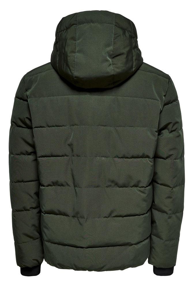 Only & Sons groene heren jas | Achteraanzicht