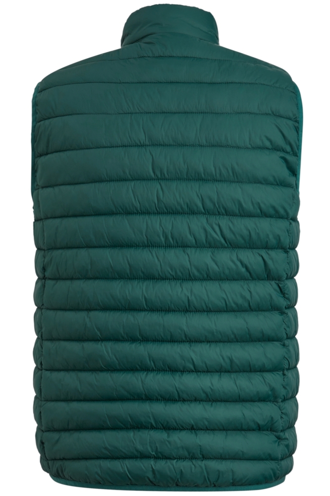 Vanguard groene heren jas | Achteraanzicht