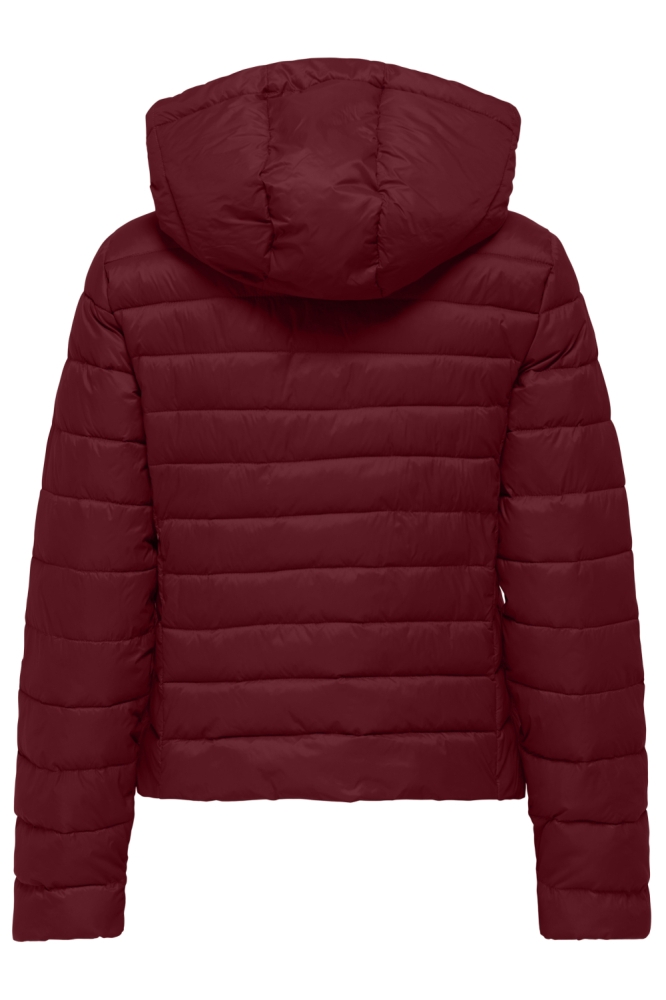 Only bordeaux dames jas | Achteraanzicht