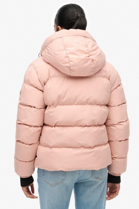 Superdry roze dames jas | Model achteraanzicht