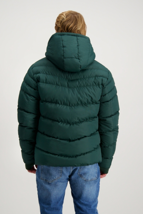 Cars groene heren jas | Model achteraanzicht