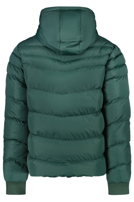 Cars groene heren jas | Achteraanzicht