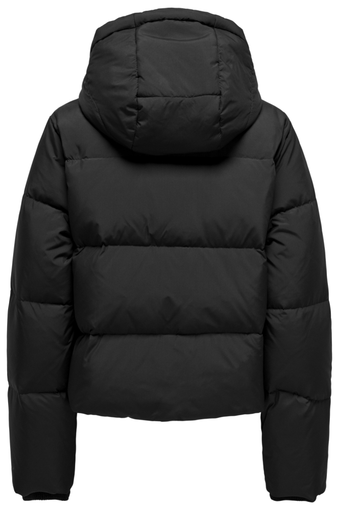 Only zwarte dames jas | Achteraanzicht