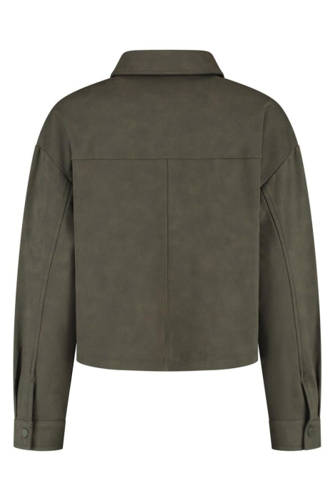 Lady Day groene dames blouse | Achteraanzicht