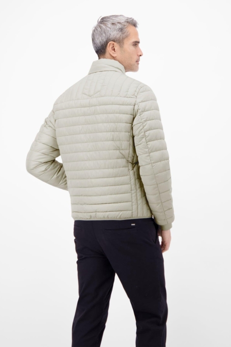 Lerros grijze heren jas | Model achteraanzicht