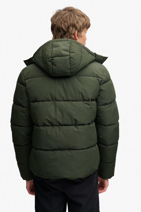 Superdry groene heren jas | Model achteraanzicht