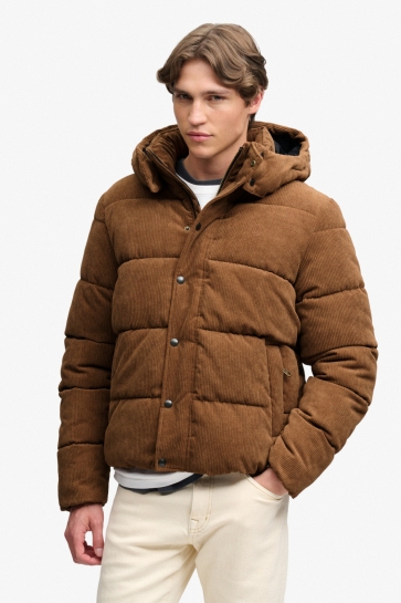Superdry Jas PREMIUM HOODED CORD PUFFER JACKE M5012431A 1lb Dark Tobacco Brown