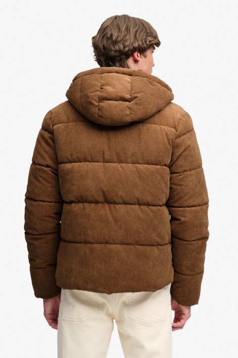 Superdry bruine heren jas | Model achteraanzicht