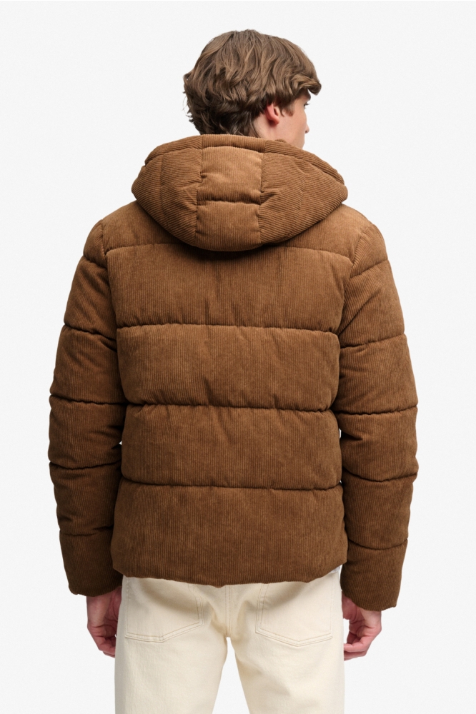 Superdry bruine heren jas | Model achteraanzicht