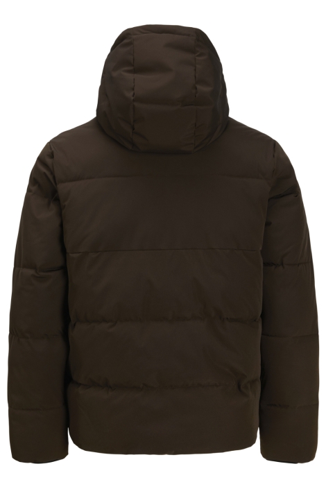Jack & Jones bruine heren jas | Achteraanzicht