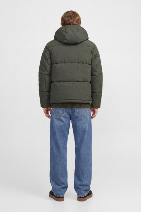 Jack & Jones groene heren jas | Model achteraanzicht
