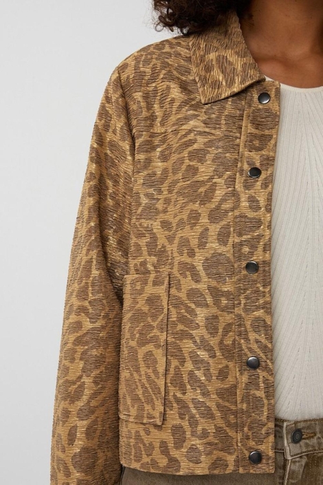 EsQualo gouden dames blazer | Close up