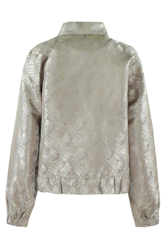 Fluresk zilveren dames jas | Achteraanzicht