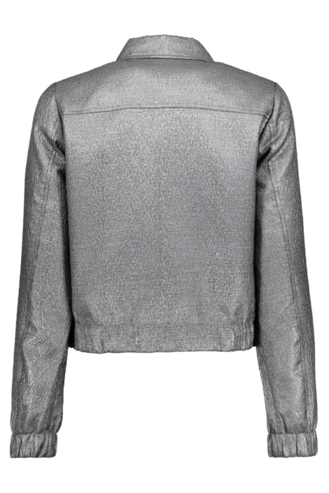 Red Button zilveren dames blazer | Achteraanzicht