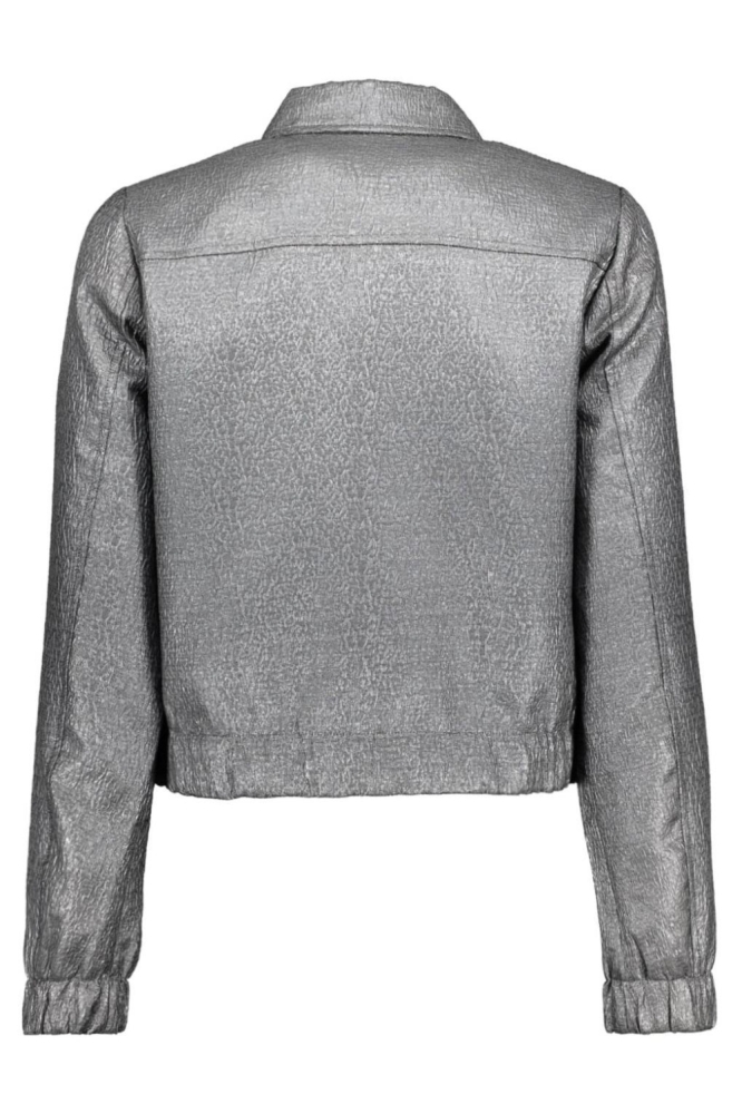 Red Button zilveren dames blazer | Achteraanzicht