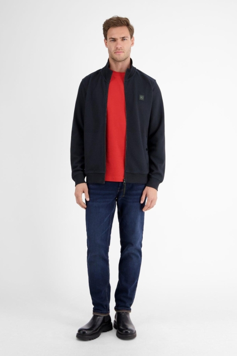 Lerros blauwe heren vest | Model