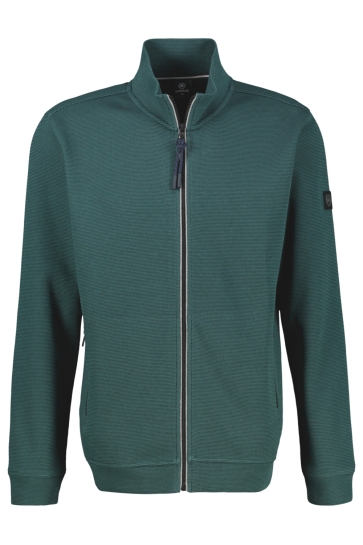 Lerros sweatjacke Groen