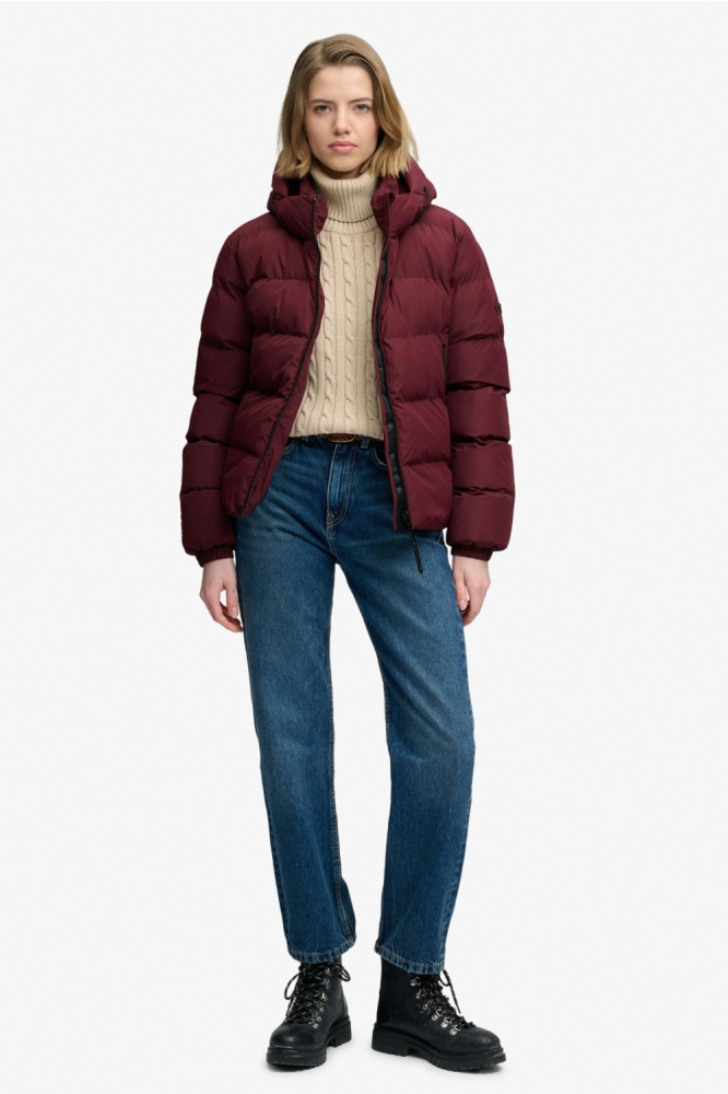 Superdry bordeaux dames jas | Model