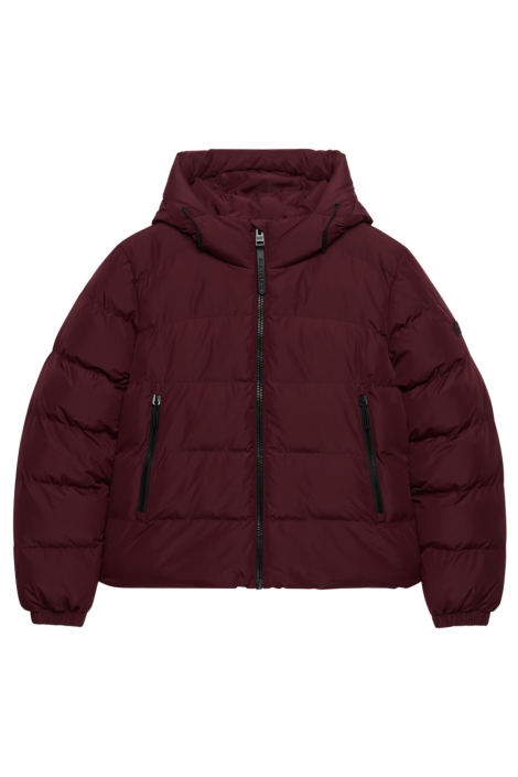 Superdry bordeaux dames jas | Vooraanzicht