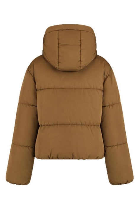 Harper & Yve groene dames jas | Achteraanzicht