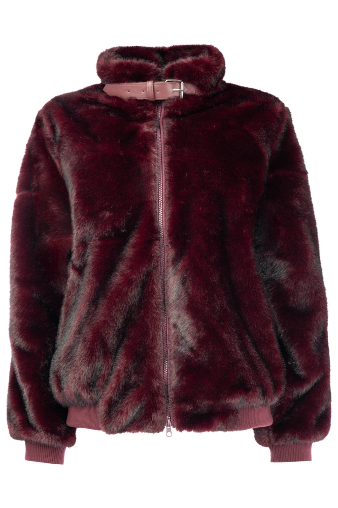 NED bordeaux dames jas | Vooraanzicht