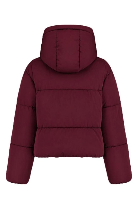 Harper & Yve bordeaux dames jas | Achteraanzicht