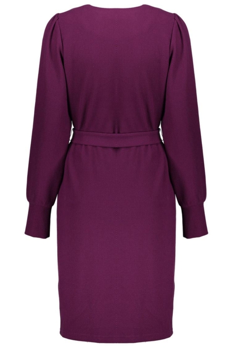 Geisha paarse dames jurk | Achteraanzicht