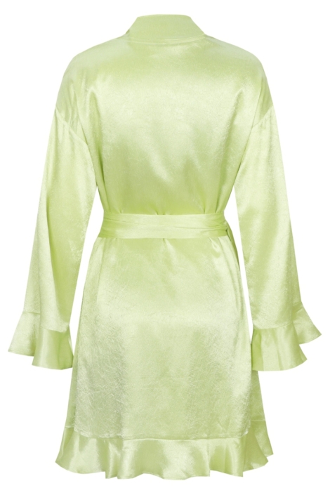 Fluresk groene dames jurk | Achteraanzicht