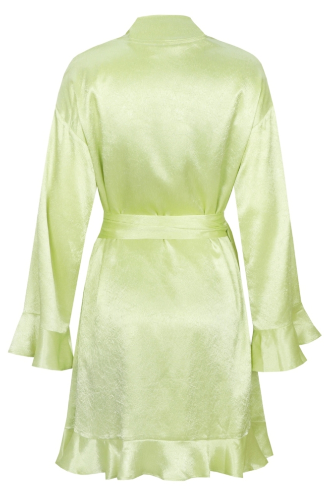 Fluresk groene dames jurk | Achteraanzicht