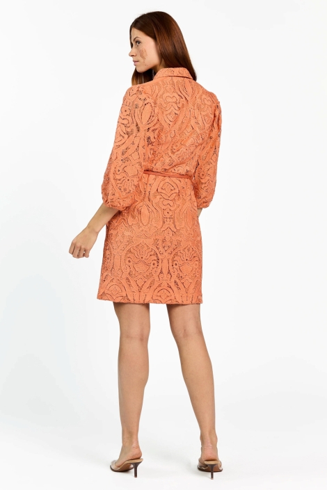 Aaiko oranje dames jurk | Model achteraanzicht