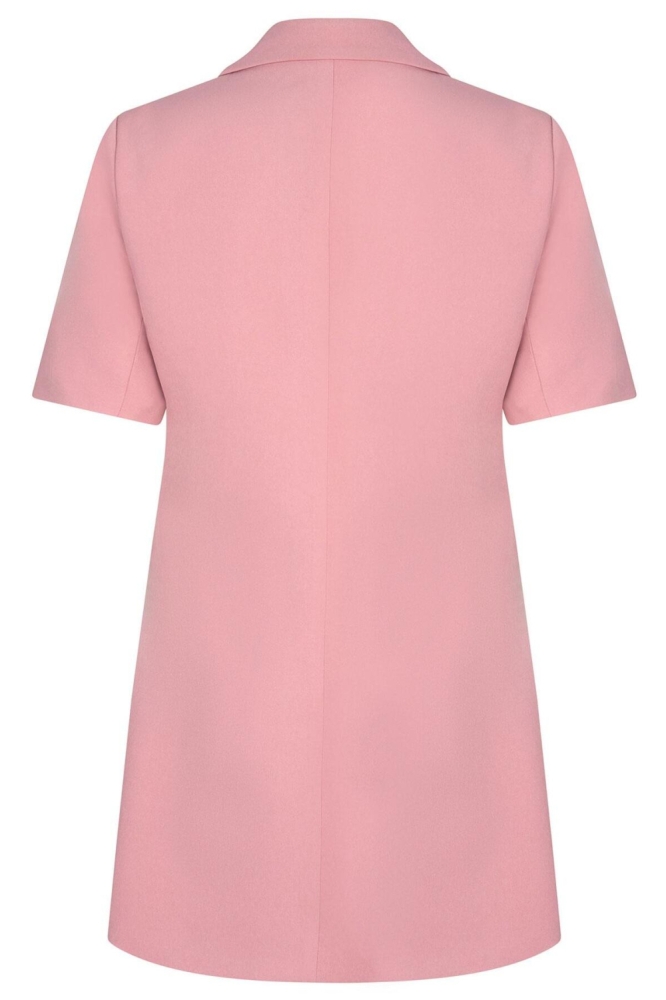 Ydence roze dames jurk | Achteraanzicht