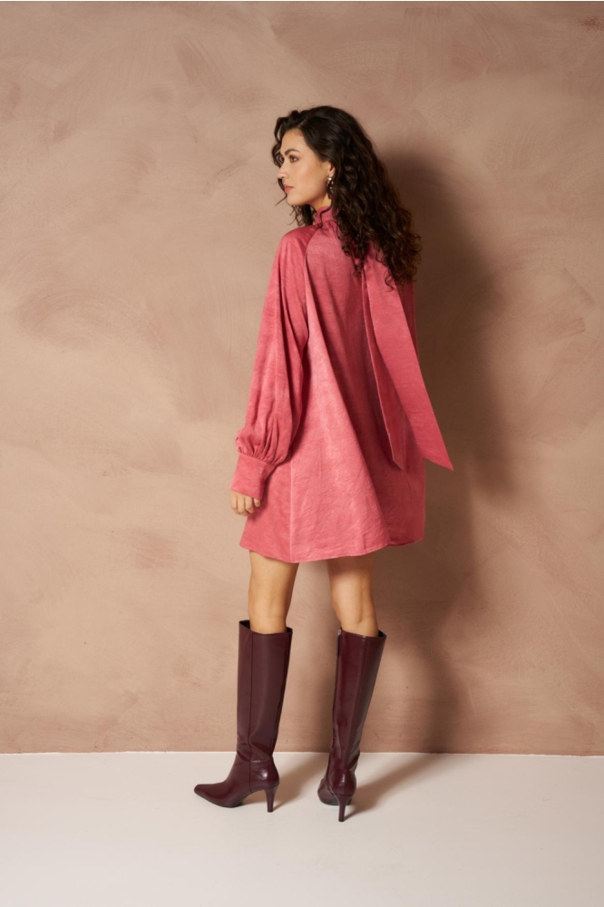 Lofty Manner roze dames jurk | Model achteraanzicht