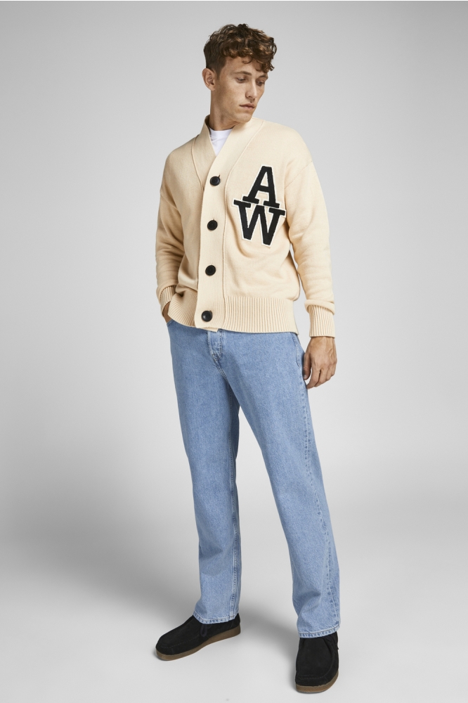 Jack & Jones blauwe heren jeans | Model