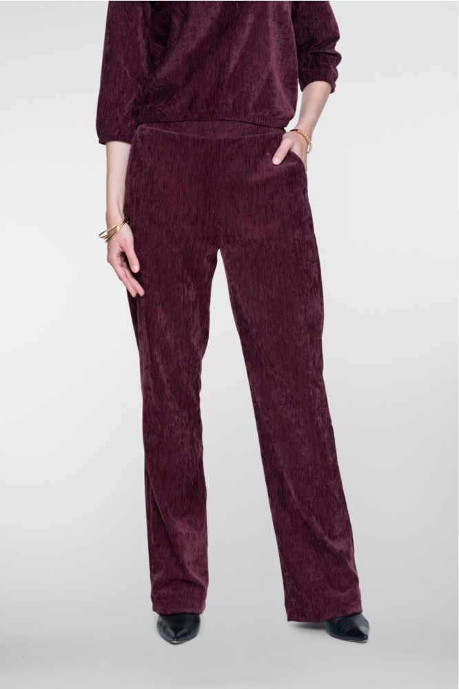 Geisha bordeaux dames broek | Model vooraanzicht