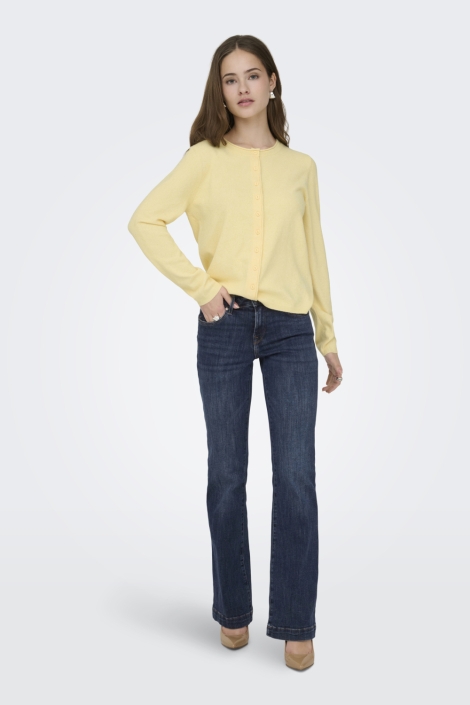 Only blauwe dames jeans | Model