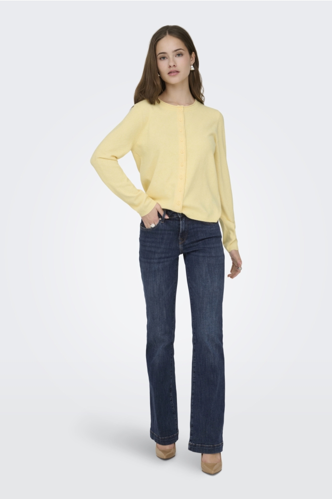 Only blauwe dames jeans | Model