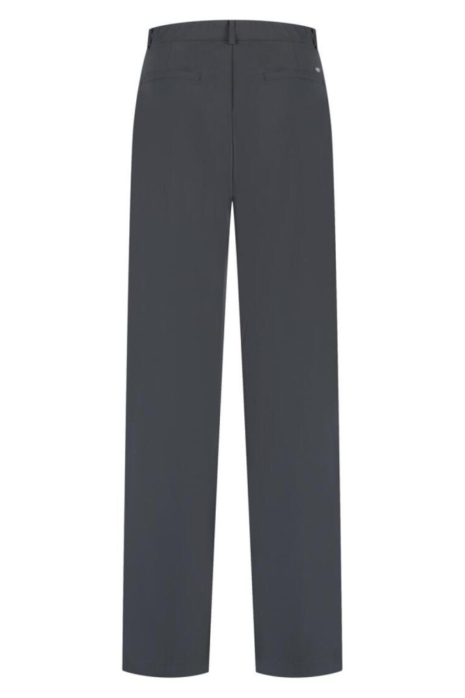 Lady Day grijze dames broek | Achteraanzicht