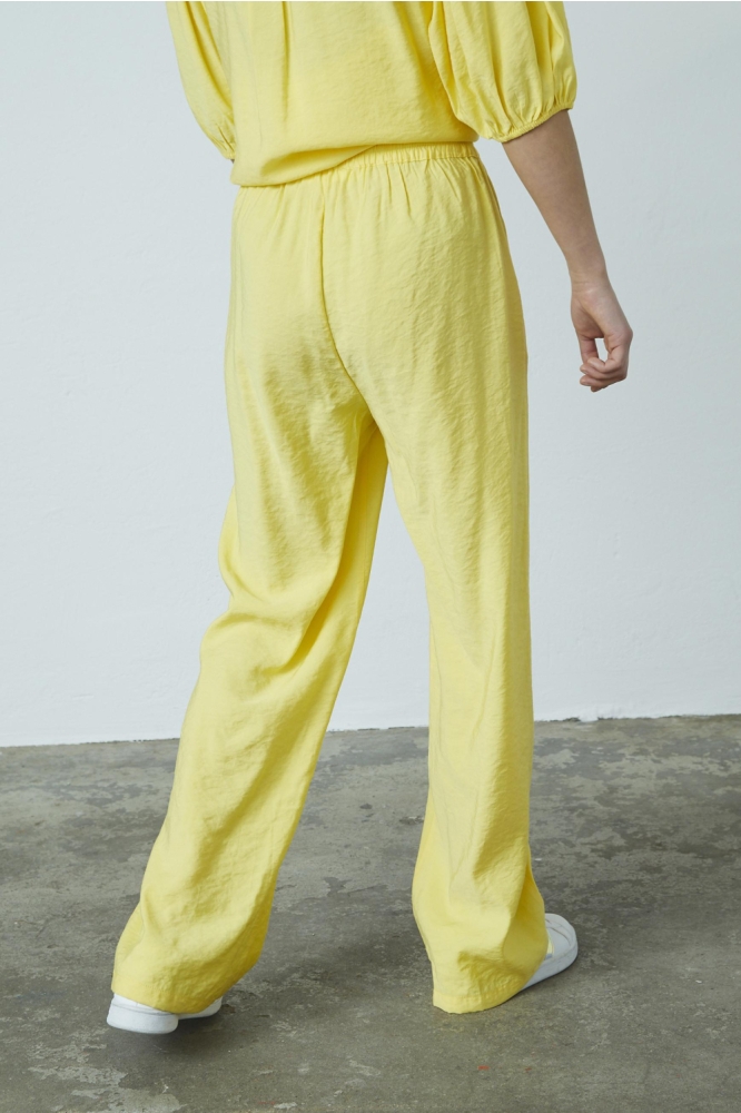 SisterS point gele dames broek | Model achteraanzicht