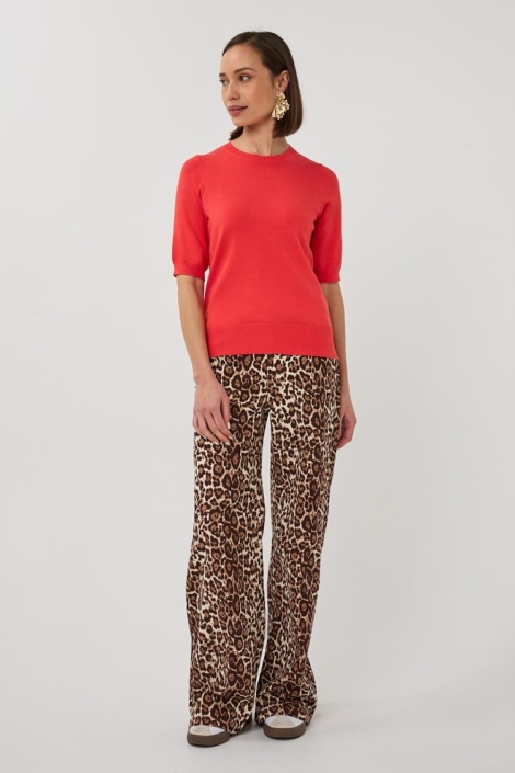 EsQualo camel dames jeans | Model