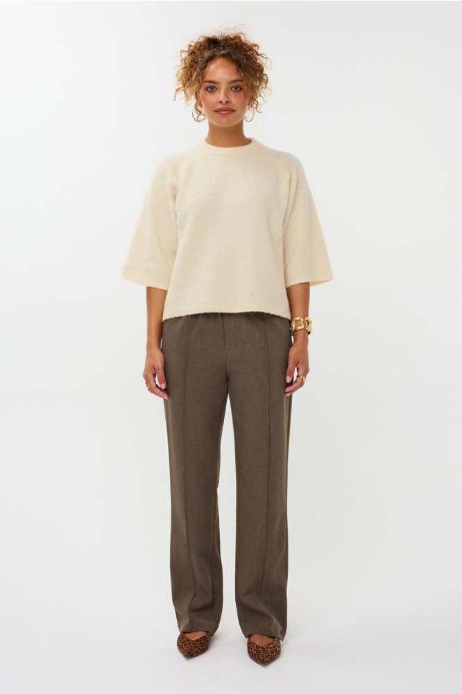 Ydence bruine dames broek | Model