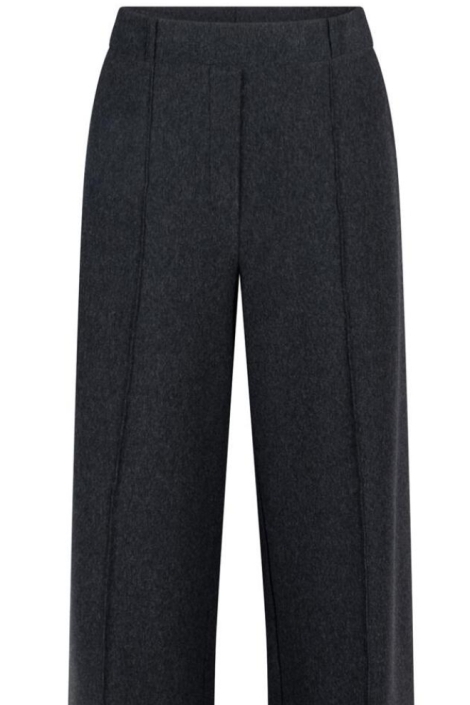 Juffrouw Jansen grijze dames broek | Close up