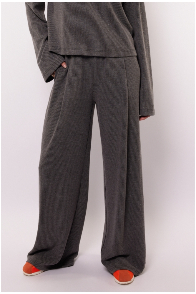 Fluresk grijze dames broek | Model vooraanzicht