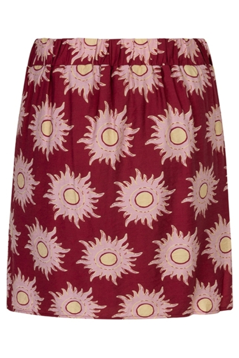 Lofty Manner roze dames rok | Achteraanzicht